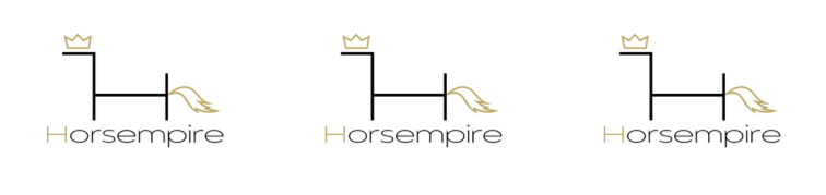 Sponsor